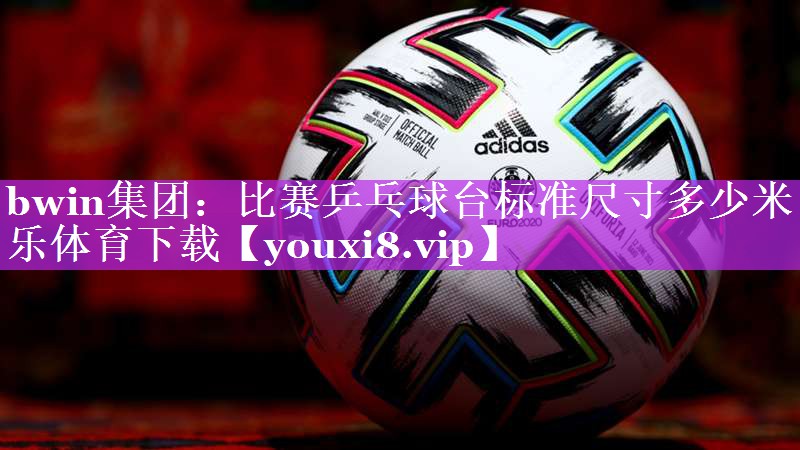 bwin集团：比赛乒乓球台标准尺寸多少米乐体育下载