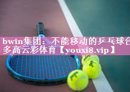 bwin集团：不能移动的乒乓球台多高云彩体育