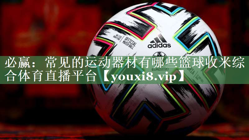 必赢：常见的运动器材有哪些篮球收米综合体育直播平台