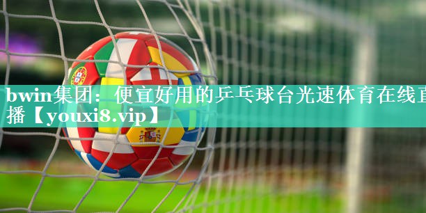 bwin集团：便宜好用的乒乓球台光速体育在线直播