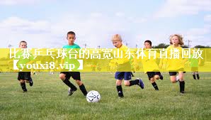 比赛乒乓球台的高宽山东体育直播回放