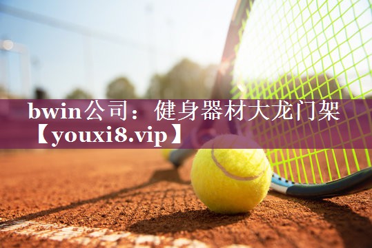bwin公司：健身器材大龙门架