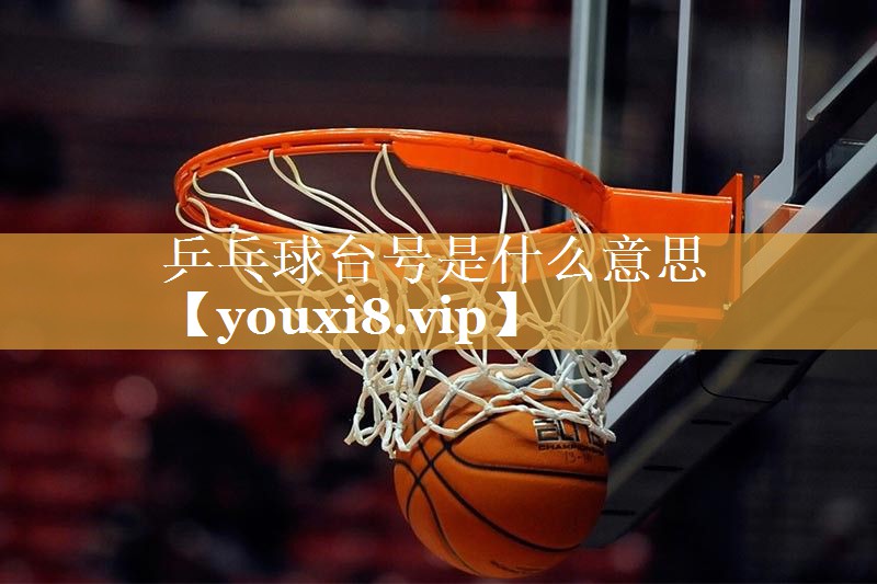 乒乓球台号是什么意思