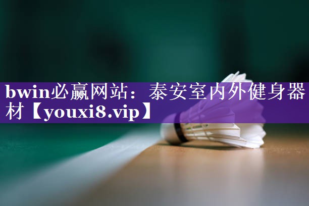 bwin必赢网站：泰安室内外健身器材