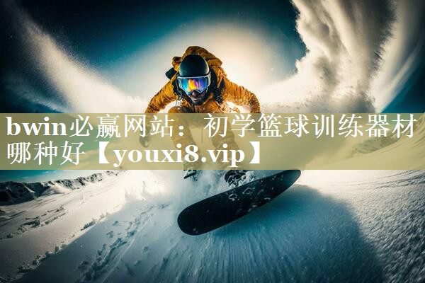 初学篮球训练器材哪种好
