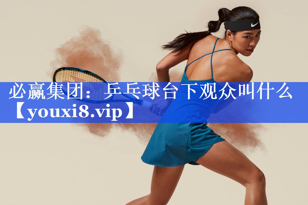乒乓球台下观众叫什么