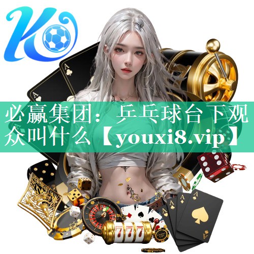 乒乓球台下观众叫什么
