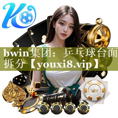 乒乓球台面拆分