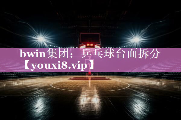 乒乓球台面拆分